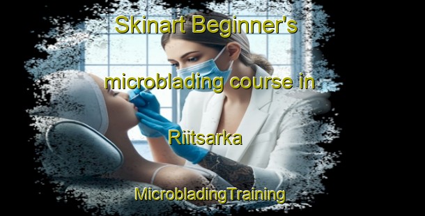 Skinart Beginner's microblading course in Riitsarka | #MicrobladingTraining #MicrobladingClasses #SkinartTraining-Finland