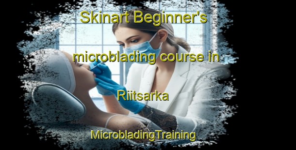 Skinart Beginner's microblading course in Riitsarka | MicrobladingTraining | MicrobladingClasses | SkinartTraining-Finland