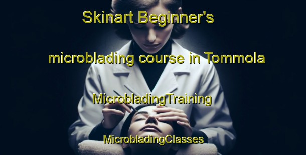 Skinart Beginner's microblading course in Tommola | #MicrobladingTraining #MicrobladingClasses #SkinartTraining-Finland