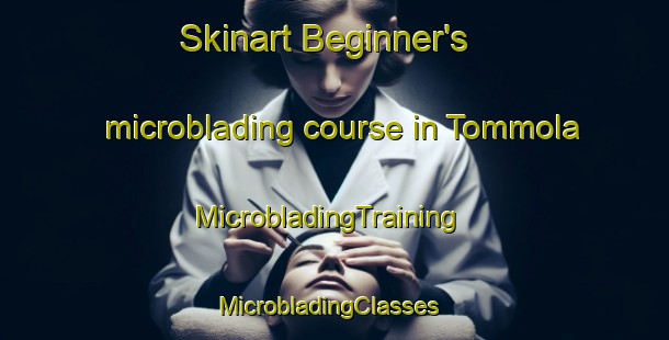 Skinart Beginner's microblading course in Tommola | MicrobladingTraining | MicrobladingClasses | SkinartTraining-Finland