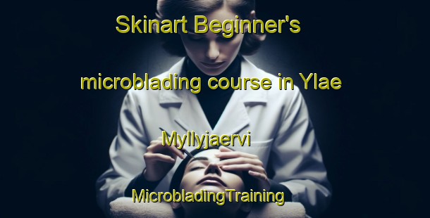 Skinart Beginner's microblading course in Ylae Myllyjaervi | MicrobladingTraining | MicrobladingClasses | SkinartTraining-Finland