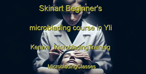 Skinart Beginner's microblading course in Yli Kerava | MicrobladingTraining | MicrobladingClasses | SkinartTraining-Finland