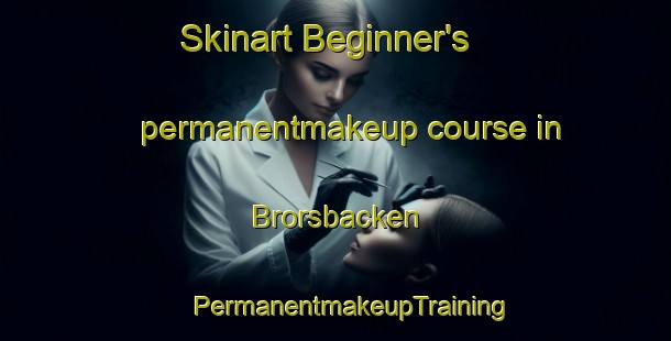 Skinart Beginner's permanentmakeup course in Brorsbacken | #PermanentmakeupTraining #PermanentmakeupClasses #SkinartTraining-Finland