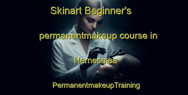 Skinart Beginner's permanentmakeup course in Hernesmaa | PermanentmakeupTraining | PermanentmakeupClasses | SkinartTraining-Finland