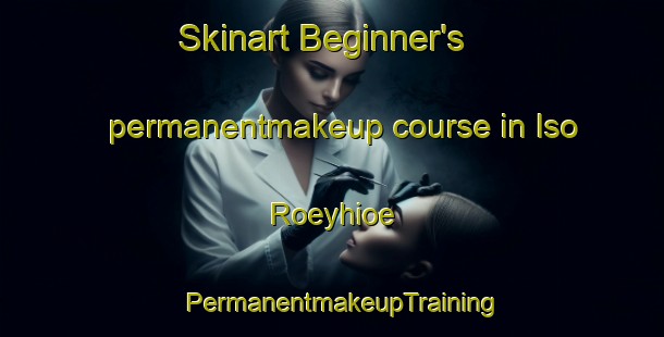 Skinart Beginner's permanentmakeup course in Iso Roeyhioe | PermanentmakeupTraining | PermanentmakeupClasses | SkinartTraining-Finland