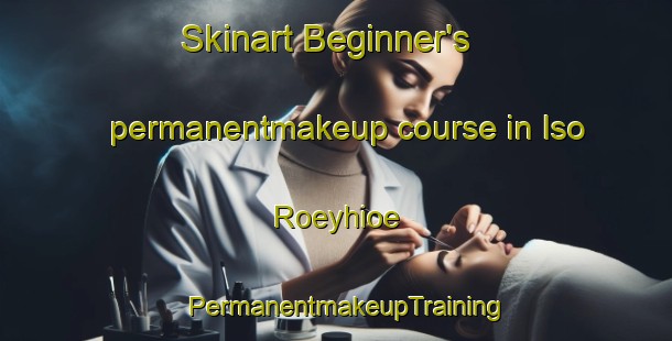 Skinart Beginner's permanentmakeup course in Iso Roeyhioe | PermanentmakeupTraining | PermanentmakeupClasses | SkinartTraining-Finland