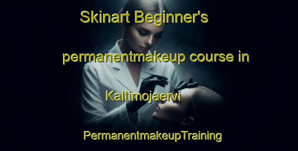 Skinart Beginner's permanentmakeup course in Kaltimojaervi | PermanentmakeupTraining | PermanentmakeupClasses | SkinartTraining-Finland