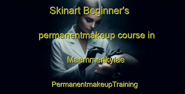 Skinart Beginner's permanentmakeup course in Maemmenkylae | PermanentmakeupTraining | PermanentmakeupClasses | SkinartTraining-Finland