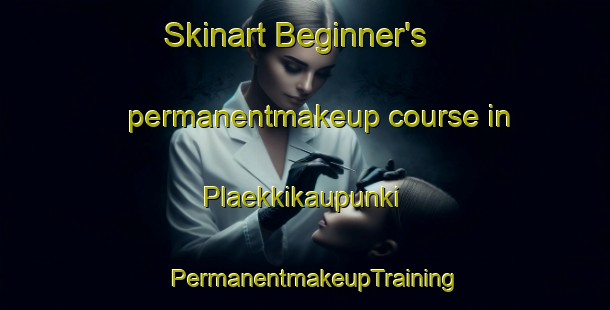 Skinart Beginner's permanentmakeup course in Plaekkikaupunki | PermanentmakeupTraining | PermanentmakeupClasses | SkinartTraining-Finland