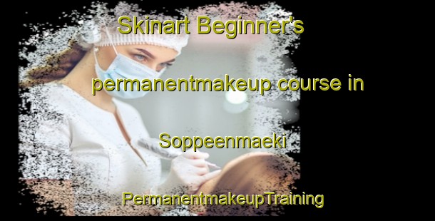 Skinart Beginner's permanentmakeup course in Soppeenmaeki | PermanentmakeupTraining | PermanentmakeupClasses | SkinartTraining-Finland