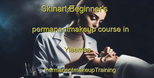 Skinart Beginner's permanentmakeup course in Ylaemaa | #PermanentmakeupTraining #PermanentmakeupClasses #SkinartTraining-Finland