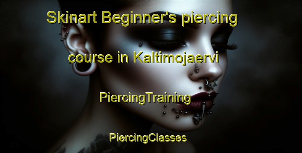 Skinart Beginner's piercing course in Kaltimojaervi | PiercingTraining | PiercingClasses | SkinartTraining-Finland