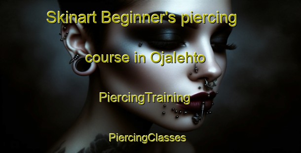 Skinart Beginner's piercing course in Ojalehto | PiercingTraining | PiercingClasses | SkinartTraining-Finland