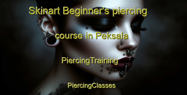 Skinart Beginner's piercing course in Peksala | PiercingTraining | PiercingClasses | SkinartTraining-Finland
