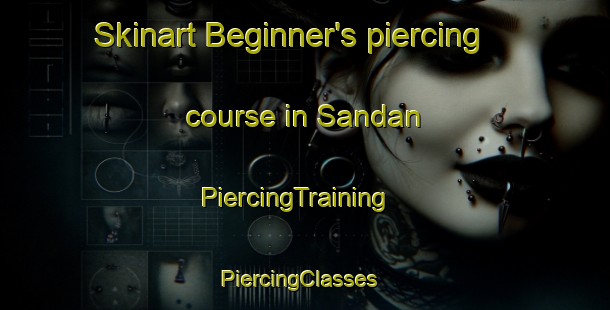 Skinart Beginner's piercing course in Sandan | PiercingTraining | PiercingClasses | SkinartTraining-Finland