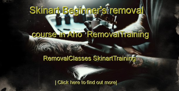 Skinart Beginner's removal course in Aho | #RemovalTraining #RemovalClasses #SkinartTraining-Finland