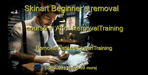 Skinart Beginner's removal course in Aho | #RemovalTraining #RemovalClasses #SkinartTraining-Finland