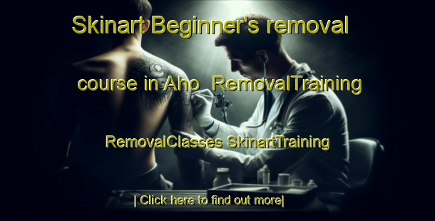 Skinart Beginner's removal course in Aho | #RemovalTraining #RemovalClasses #SkinartTraining-Finland