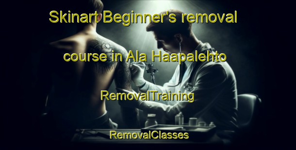 Skinart Beginner's removal course in Ala Haapalehto | RemovalTraining | RemovalClasses | SkinartTraining-Finland