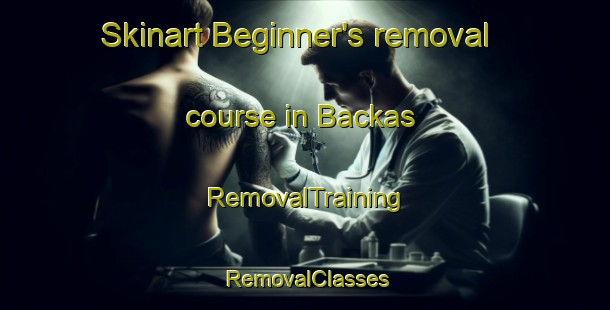 Skinart Beginner's removal course in Backas | RemovalTraining | RemovalClasses | SkinartTraining-Finland
