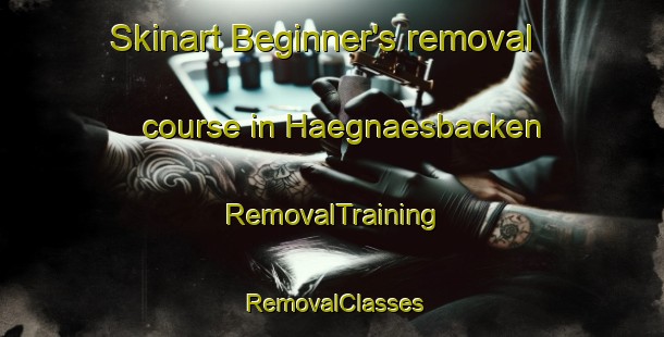 Skinart Beginner's removal course in Haegnaesbacken | RemovalTraining | RemovalClasses | SkinartTraining-Finland