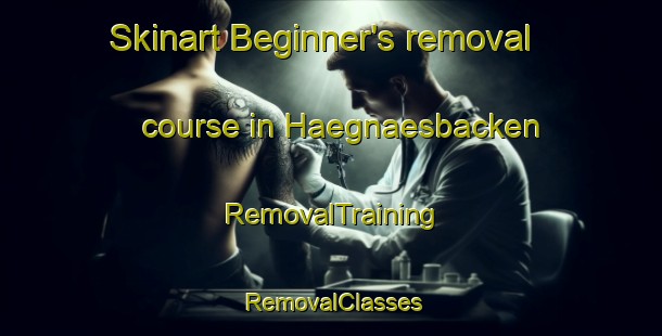 Skinart Beginner's removal course in Haegnaesbacken | RemovalTraining | RemovalClasses | SkinartTraining-Finland