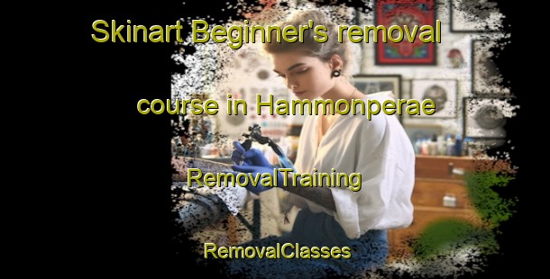 Skinart Beginner's removal course in Hammonperae | RemovalTraining | RemovalClasses | SkinartTraining-Finland