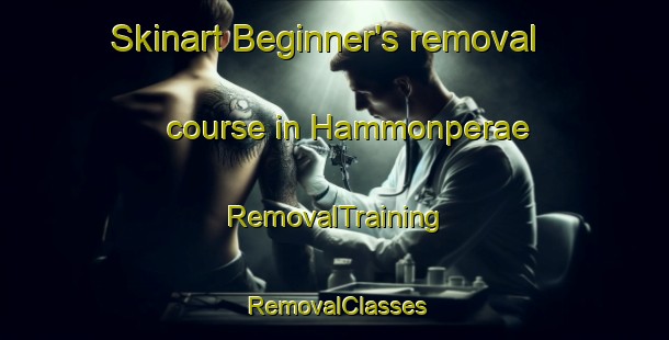Skinart Beginner's removal course in Hammonperae | RemovalTraining | RemovalClasses | SkinartTraining-Finland