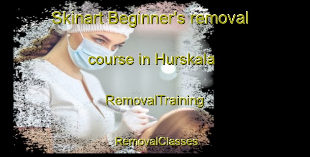 Skinart Beginner's removal course in Hurskala | RemovalTraining | RemovalClasses | SkinartTraining-Finland