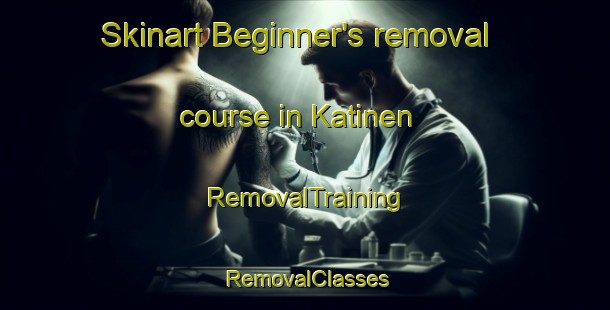 Skinart Beginner's removal course in Katinen | RemovalTraining | RemovalClasses | SkinartTraining-Finland