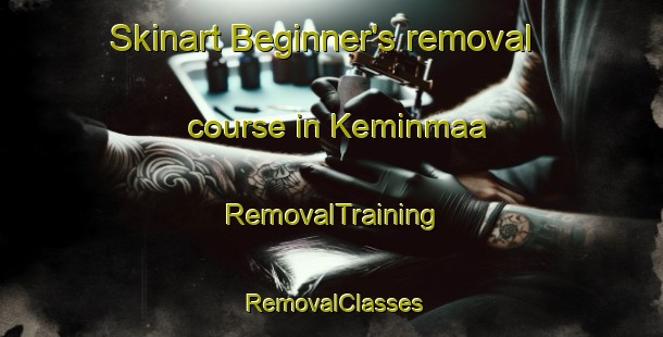 Skinart Beginner's removal course in Keminmaa | RemovalTraining | RemovalClasses | SkinartTraining-Finland