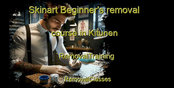 Skinart Beginner's removal course in Kitunen | RemovalTraining | RemovalClasses | SkinartTraining-Finland