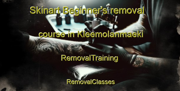 Skinart Beginner's removal course in Kleemolanmaeki | RemovalTraining | RemovalClasses | SkinartTraining-Finland