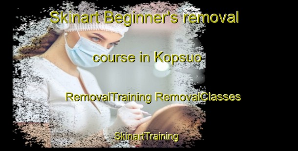 Skinart Beginner's removal course in Kopsuo | #RemovalTraining #RemovalClasses #SkinartTraining-Finland