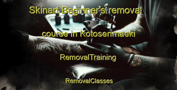 Skinart Beginner's removal course in Kotosenmaeki | RemovalTraining | RemovalClasses | SkinartTraining-Finland
