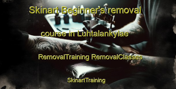 Skinart Beginner's removal course in Luhtalankylae | #RemovalTraining #RemovalClasses #SkinartTraining-Finland