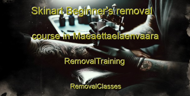 Skinart Beginner's removal course in Maeaettaelaenvaara | RemovalTraining | RemovalClasses | SkinartTraining-Finland