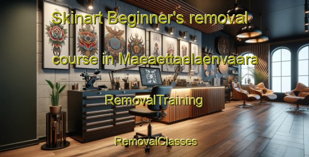 Skinart Beginner's removal course in Maeaettaelaenvaara | RemovalTraining | RemovalClasses | SkinartTraining-Finland