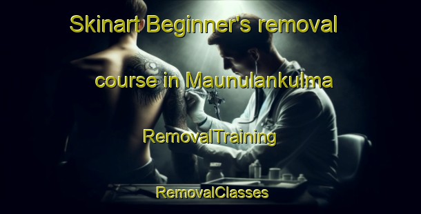 Skinart Beginner's removal course in Maunulankulma | RemovalTraining | RemovalClasses | SkinartTraining-Finland