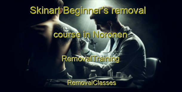 Skinart Beginner's removal course in Noronen | RemovalTraining | RemovalClasses | SkinartTraining-Finland