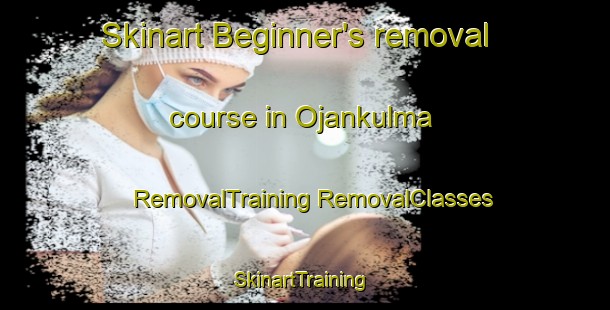 Skinart Beginner's removal course in Ojankulma | #RemovalTraining #RemovalClasses #SkinartTraining-Finland