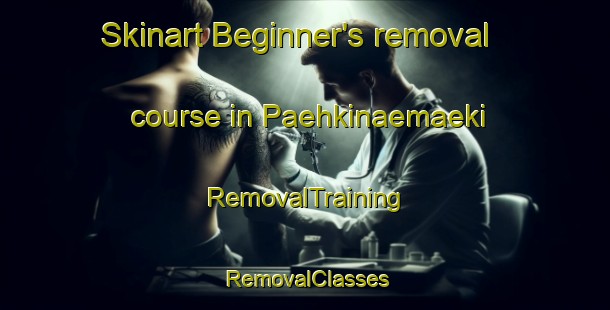 Skinart Beginner's removal course in Paehkinaemaeki | RemovalTraining | RemovalClasses | SkinartTraining-Finland