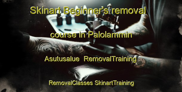 Skinart Beginner's removal course in Palolammin Asutusalue | #RemovalTraining #RemovalClasses #SkinartTraining-Finland