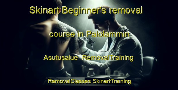 Skinart Beginner's removal course in Palolammin Asutusalue | #RemovalTraining #RemovalClasses #SkinartTraining-Finland