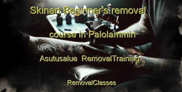 Skinart Beginner's removal course in Palolammin Asutusalue | RemovalTraining | RemovalClasses | SkinartTraining-Finland