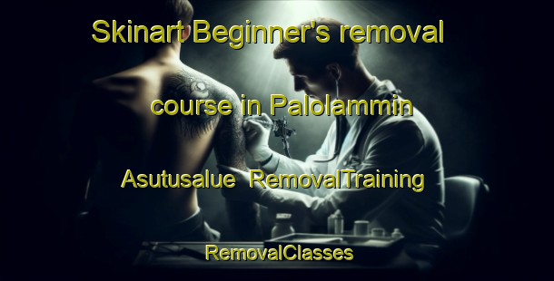 Skinart Beginner's removal course in Palolammin Asutusalue | RemovalTraining | RemovalClasses | SkinartTraining-Finland