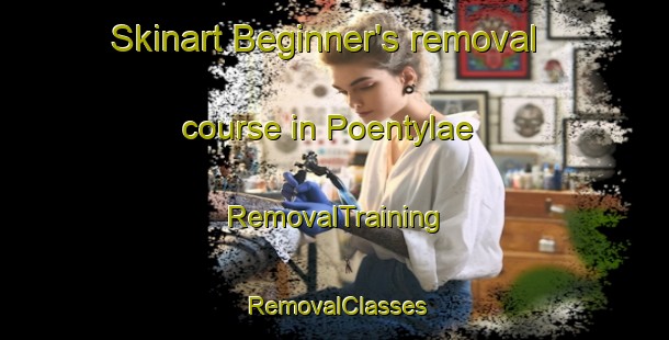 Skinart Beginner's removal course in Poentylae | RemovalTraining | RemovalClasses | SkinartTraining-Finland