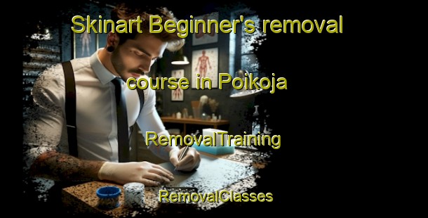 Skinart Beginner's removal course in Poikoja | RemovalTraining | RemovalClasses | SkinartTraining-Finland