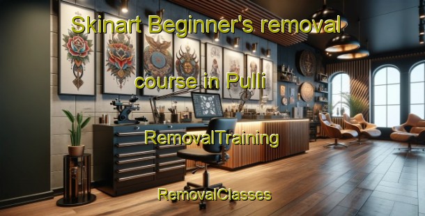 Skinart Beginner's removal course in Pulli | RemovalTraining | RemovalClasses | SkinartTraining-Finland