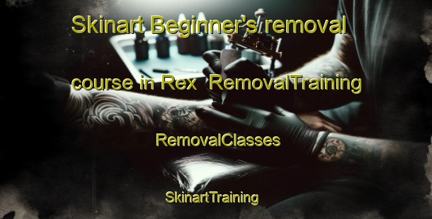 Skinart Beginner's removal course in Rex | RemovalTraining | RemovalClasses | SkinartTraining-Finland